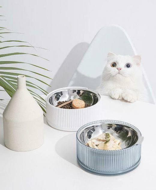 cat feeding accessories