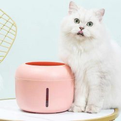 Tomcat Pet Drinking Fountain - OzCat Pet Supplies